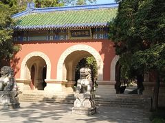 -灵谷景区