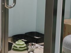 -瑞派申生动物医院·24H夜诊·国际动物医疗中心·骨外科(吴中路店)