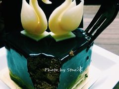 -BLACKSWAN黑天鹅(环球店)