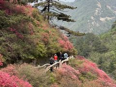 -木兰云雾山