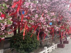 -祥源·阜阳生态乐园