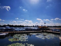 -长春市南湖公园