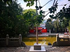 -双清别墅