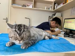 -芭比堂动物医院·犬猫全科·异宠专科(雁塔分院)