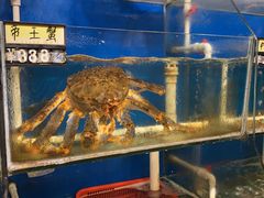 -榕树下海鲜楼(开元店)