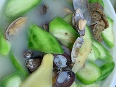 -肥舅父農莊