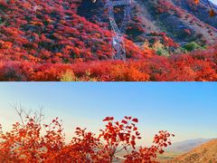 -沉浸北京·团建旅行·密室剧本杀·年会会议轰趴拓展