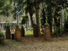 -海南热带野生动植物园
