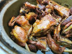 姜母鸭-斯丹姜母鸭·古法干香(涂门街总店)