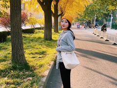 -三里屯东五街银杏大道