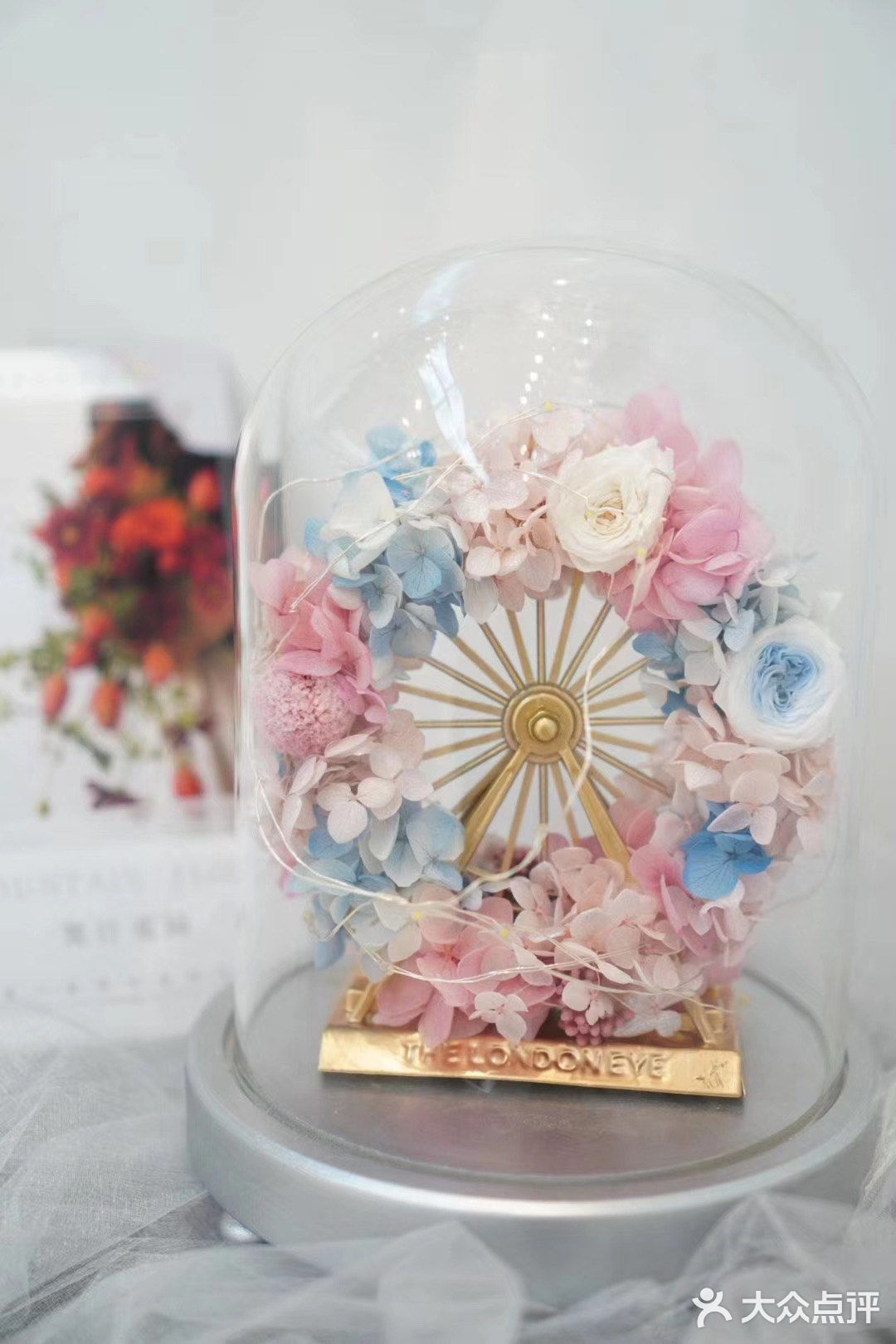 南风未起 我遇见你 南风微起 念你成疾