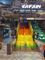 -卡通尼·Safari非洲探索乐园·生日会(金桥国际商业广场店)