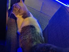 -悠米私人影院(街道口店)