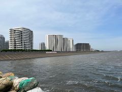-碧海金沙