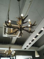 android_upload_pic-ZAGA形象设计