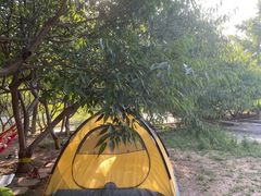 -永定河休闲森林公园