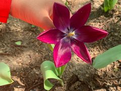 -长春公园(普阳街道)