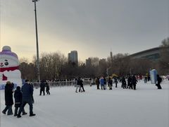 -沈阳奥体冰雪嘉年华