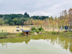 -牛岗山公园