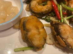 金不换煎焗白鳝-博多新记·粤菜(复兴店)