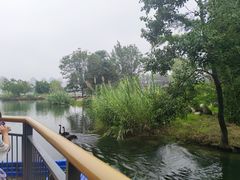 -武汉动物园