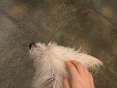 -绿房子方寸咖啡(星海名城店)