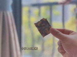 -哈妮儿童摄影(德清店)
