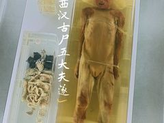 -荆州博物馆