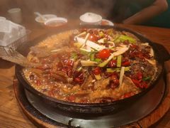 -老板恋上鱼(高新万达店)