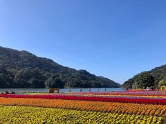 -广州市石门国家森林公园