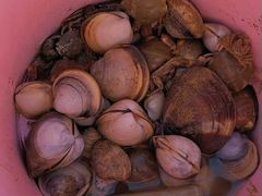 -巧克力渔家.小船海鲜家常菜(万平口店)