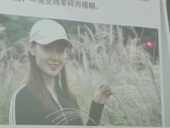 -红瓜子 影视后期 摄影摄像设计 新媒体运营技能培训(宝安校区)