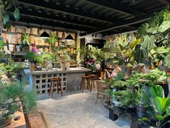 -自由生长植物工作室(深港花卉中心店)
