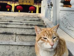 -棋盘山风景区