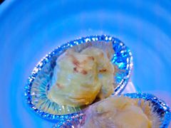 -萧邦音乐会所KTV·蒸汽活海鲜自助(福田店)