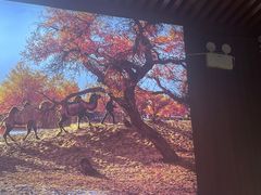 -新疆阿卜杜拉烧烤餐厅(四方坪店)