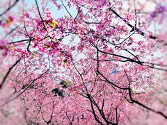 -静安雕塑公园