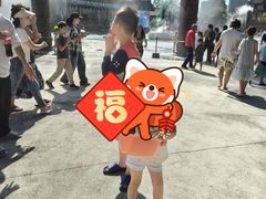-西双版纳傣族园