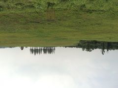 青松岭森林公园-东海森林温泉