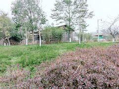 -桤木河湿地公园