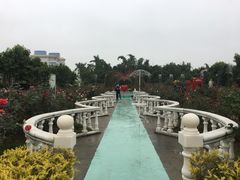 -百万葵园