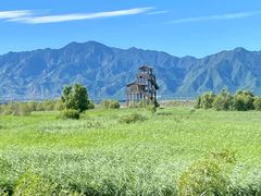 -野鸭湖国家湿地公园