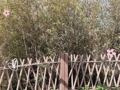 -河北省第三届（邢台园博园）园林博览会