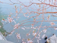 -颐和园