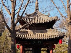 -碑林公园