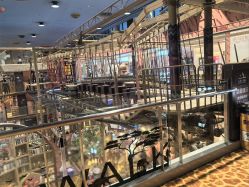 -卡通尼·Safari非洲探索乐园·生日会(金桥国际商业广场店)