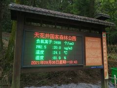 -天花井景区