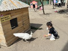 -水上乐园·欢乐世界