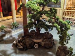 -田园印象·成都土菜院子(华阳店)