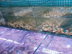 -海韵之星邮轮水会(明发商业广场店)
